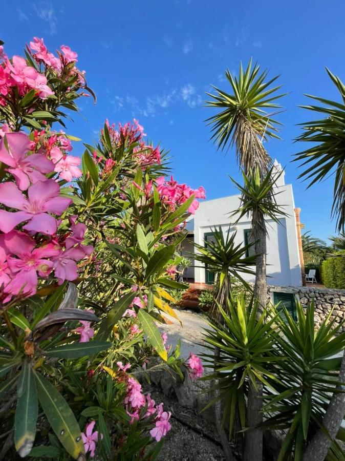 Dei Gabbiani Holiday home *